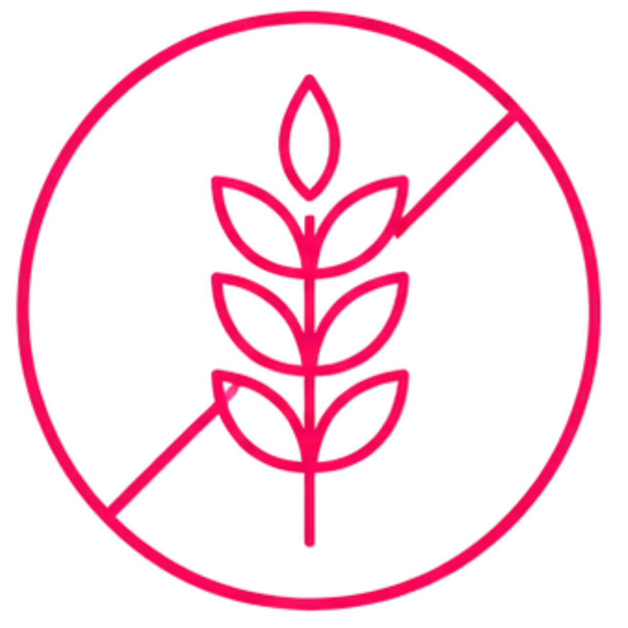 Sin Gluten